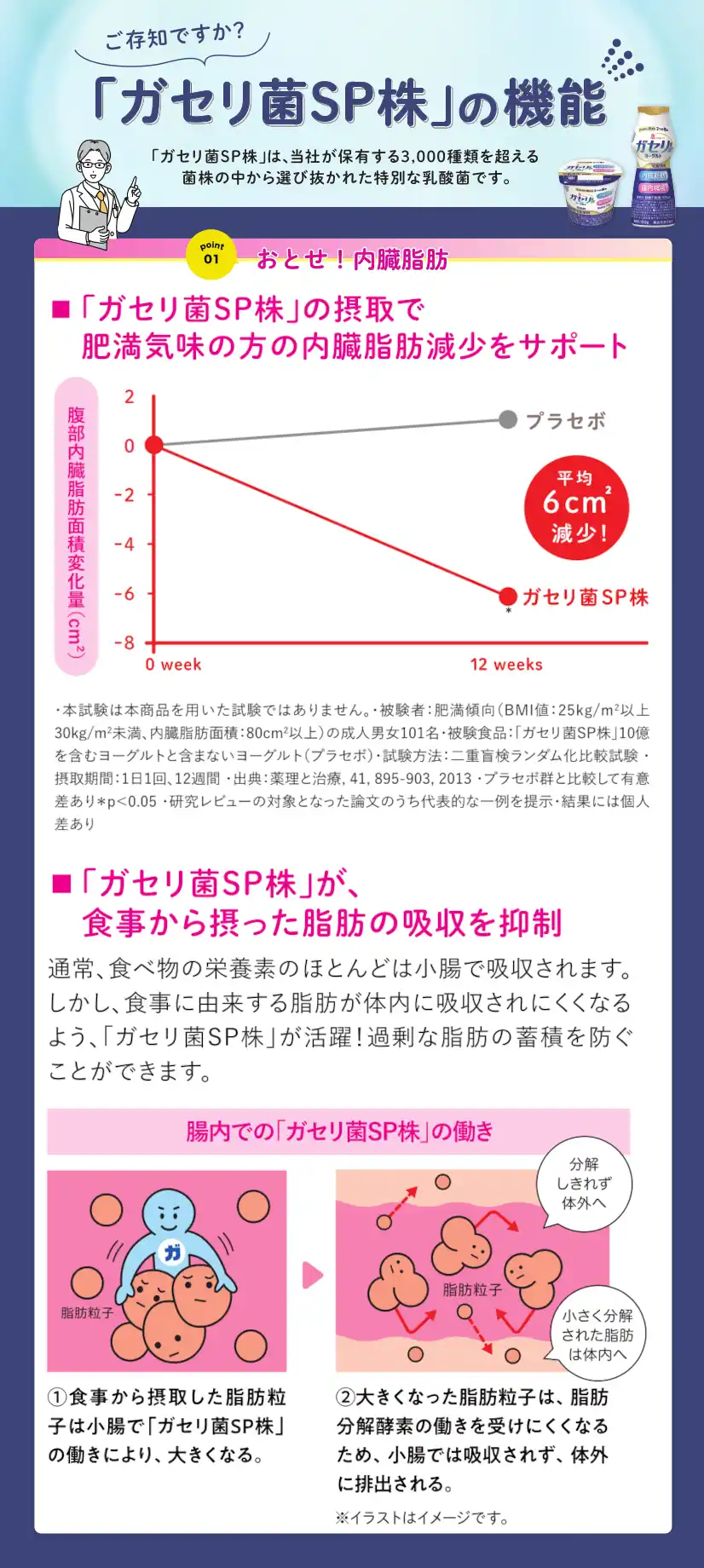 ガセリ菌SP株ヨーグルトリニューアル情報・効用1