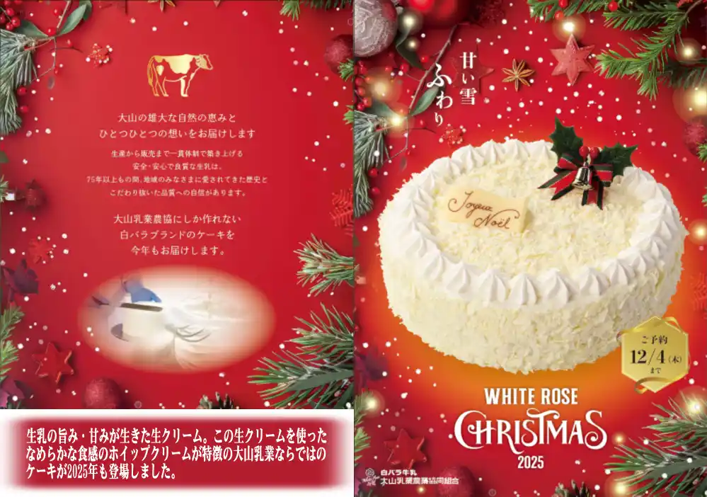 クリスマスケーキ紹介