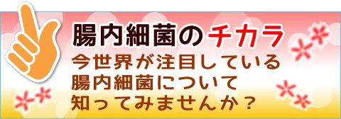 インフォメーションボタン３腸内細菌紹介スマホ用