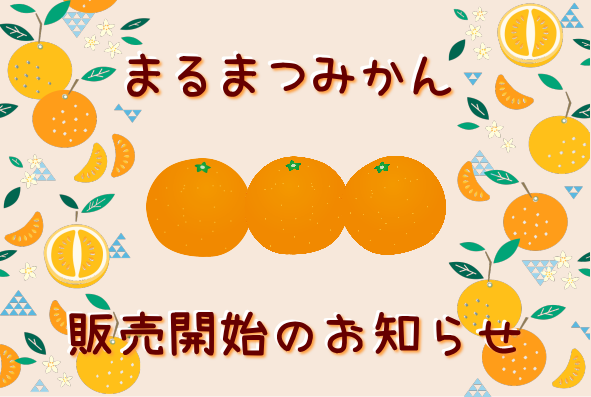 まるまつみかん販売開始のお知らせ